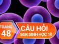 Đáp án câu hỏi thảo luận trang 48 SGK Sinh học 10