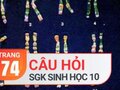 Đáp án câu hỏi thảo luận trang 74 SGK Sinh học 10