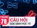 Đáp án câu hỏi thảo luận trang 78 SGK Sinh học 10