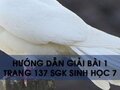 Hướng dẫn giải bài 1 trang 137 sgk Sinh học 7