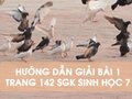 Bài 1 trang 142 sgk Sinh học 7