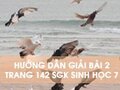 Bài 2 trang 142 sgk Sinh học 7