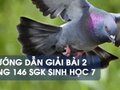 Hướng dẫn giải bài 2 trang 146 sgk Sinh học 7