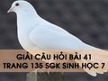 Hướng dẫn trả lời câu hỏi bài 41 trang 135 sgk Sinh học 7