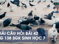 Hướng dẫn trả lời câu hỏi bài 42 trang 138 sgk Sinh học 7