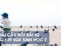 Hướng dẫn trả lời câu hỏi bài 42 trang 139 sgk Sinh học 7
