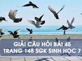 Hướng dẫn trả lời câu hỏi bài 45 trang 148 sgk Sinh học 7