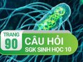 Đáp án câu hỏi thảo luận trang 90 SGK Sinh học 10