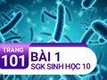 Giải bài 1 trang 101 SGK Sinh học 10