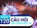 Câu hỏi thảo luận trang 120 SGK Sinh 10