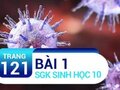 Bài 1 trang 121 SGK Sinh 10