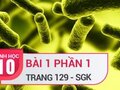 Bài 1 trang 129 phần 1 SGK Sinh 10