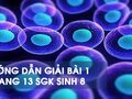 Bài 1 trang 13 sgk Sinh 8