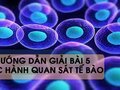 Bài 5 trang 19 sgk Sinh 8