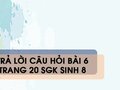 Câu hỏi bài 6 trang 20 sgk Sinh 8