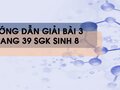 Bài 3 trang 39 sgk Sinh 8