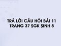 Câu hỏi bài 11 trang 37 sgk Sinh 8