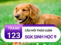Câu hỏi thảo luận trang 123 sgk Sinh 9