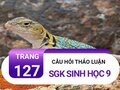 Câu hỏi thảo luận trang 127 sgk Sinh 9