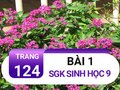Bài 1 trang 124 sgk sinh 9