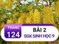 Bài 2 trang 124 sgk sinh 9