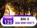 Bài 3 trang 125 sgk sinh 9