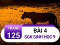 Bài 4 trang 125 sgk sinh 9