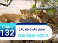 Câu hỏi thảo luận trang 132 sgk Sinh 9