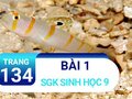 Bài 1 trang 134 sgk sinh 9