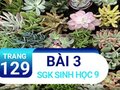 Bài 3 trang 129 sgk sinh 9