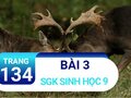Bài 3 trang 134 sgk sinh 9