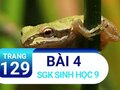 Bài 4 trang 129 sgk sinh 9