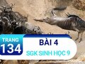 Bài 4 trang 134 sgk sinh 9