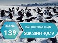 Câu hỏi thảo luận trang 139 sgk Sinh 9