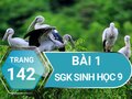 Bài 2 trang 142 sgk sinh 9