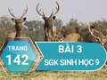 Bài 3 trang 142 sgk sinh 9