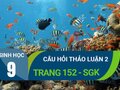 Quan sát hình 50.2 trang 151 và thực hiện các yêu cầu
