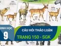 Quan sát hình 50.1 (trang 150 SGK Sinh học 9) và cho biết