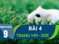 Bài 4 trang 149 sgk sinh 9