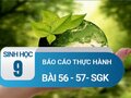 Báo cáo thực hành: Bài 56 - 57 sgk Sinh 9