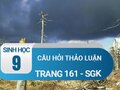 Câu hỏi thảo luận trang 161 sgk Sinh 9