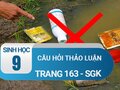 Câu hỏi thảo luận trang 163 sgk Sinh 9