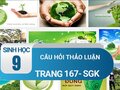 Câu hỏi thảo luận trang 167 sgk Sinh 9