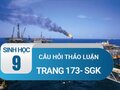 Câu hỏi thảo luận trang 173 sgk Sinh 9