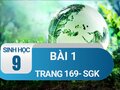 Bài 1 trang 169 sgk sinh 9