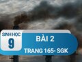 Bài 2 trang 165 sgk sinh 9