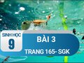 Bài 3 trang 165 sgk sinh 9
