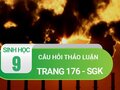 Câu hỏi thảo luận trang 176 sgk Sinh 9