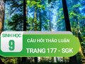 Câu hỏi thảo luận trang 177 sgk Sinh 9