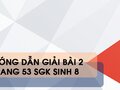 Bài 2 trang 53 sgk Sinh 8